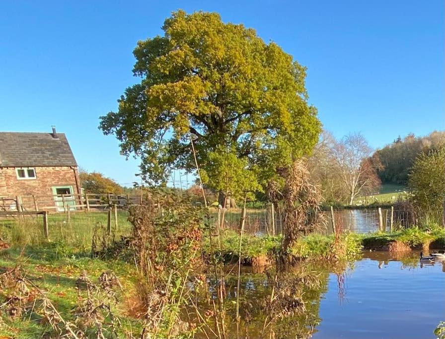 Oaklands Cottage On A Rural Farm Dingestow Екстериор снимка